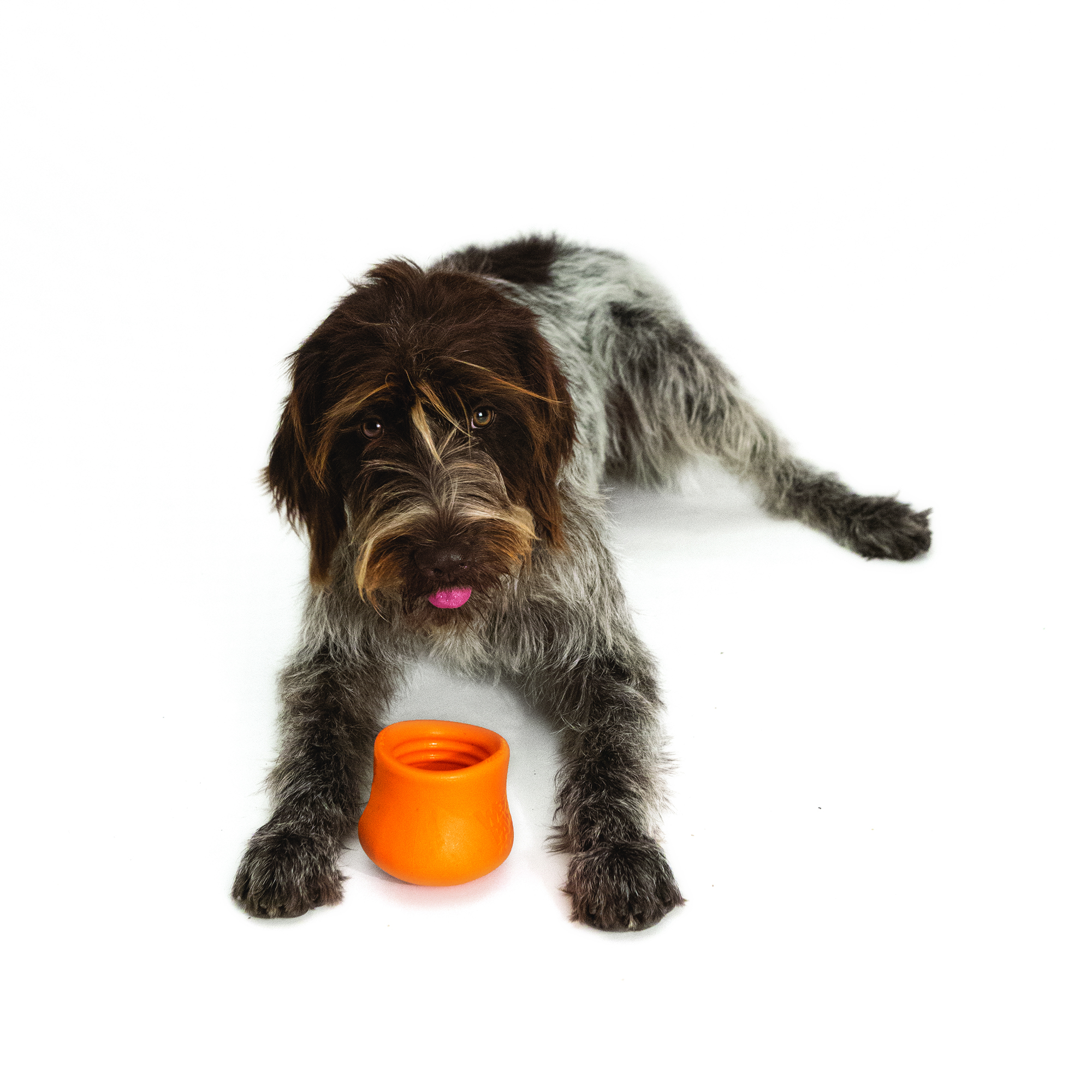 Recipes for Treat Toys