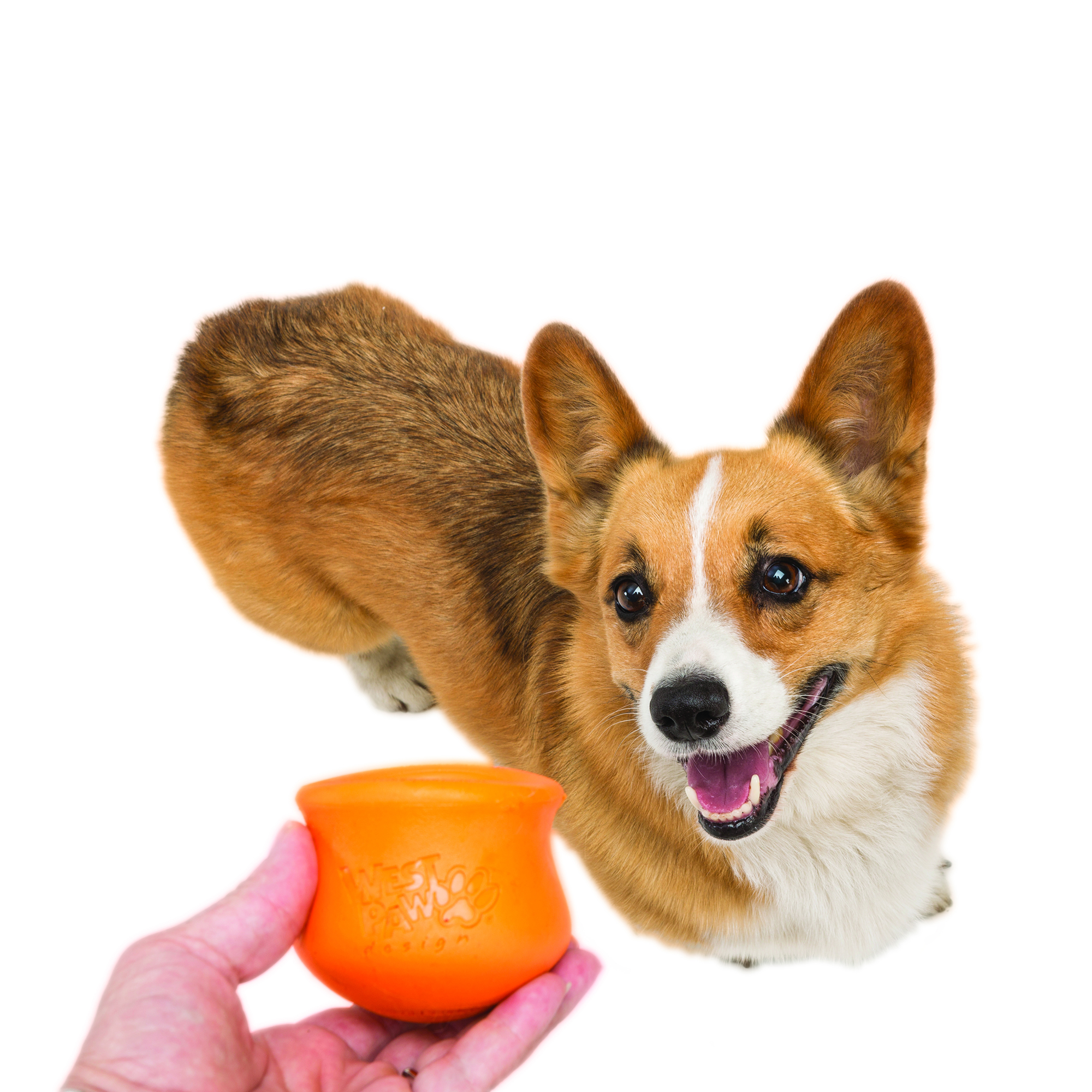 West Paw Toppl Treat Dispensing Dog Toy